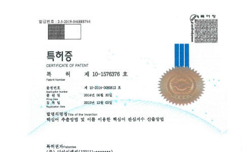 특허 이미지